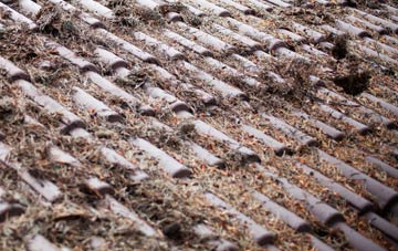 Two Dales roof cleaning companies